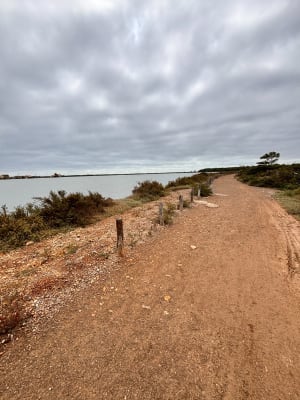 Les Aresquiers - Vic-la-Gardiole - 37