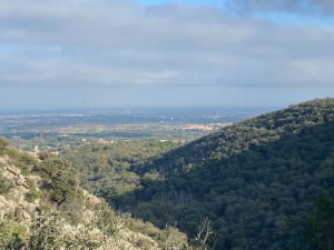 Au fil de l'eau de Laroque-des-Albères - Laroque-des-Albères - 40