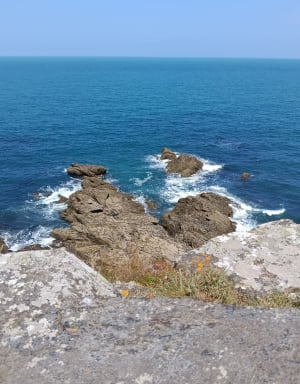 Cancale et sa magnifique pointe du Grouin - Cancale - 29