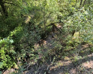 Viaduc de la Selle - La Freissinouse - 5