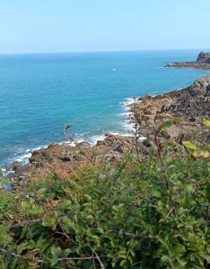 Cancale et sa magnifique pointe du Grouin - Cancale - 30