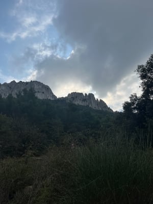 Les dentelles à Gigondas - Camille - 30