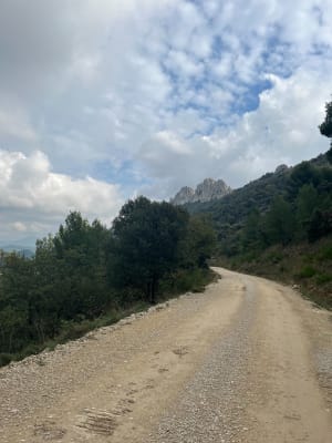 Les dentelles à Gigondas - Camille - 31
