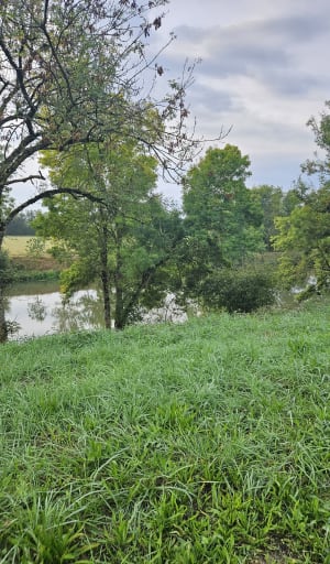Balade entre l'Authion et la Loire - Les Ponts-de-Cé - 6