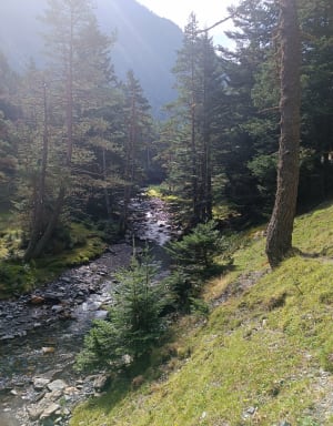 Le sentier de Péguère - Tramezaîgues - 5