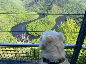 Queuille et son méandre de la Sioule paradisiaque - Queuille - 24