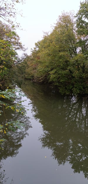 Les étangs d’outre Moselle à partir du Waves - Jouy-aux-Arches - 20