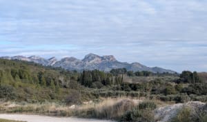 Balade autour du canal des Alpilles - Mouriès - 13