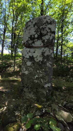 Escapade sur le sentier Prévert et bulle verte - Fraisse-sur-Agout - 4