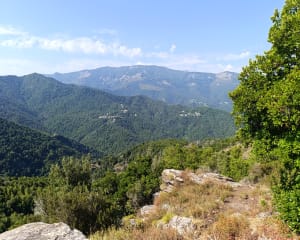 San Bartolu par Monacia-d'Orezza - Monacia-d'Orezza - 2