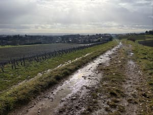 Sortir de Charnay par les chemins - Charnay-lès-Mâcon - 2