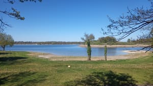 Étang du Puits et petit paradis pour les sorties en famille - Cerdon - 14