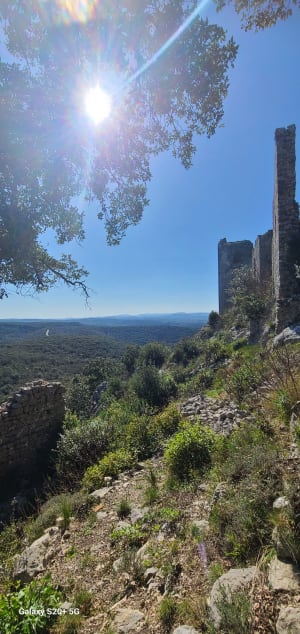 Château d'Allegre, chapelle Saint Saturnin par Château Boisson - Boisson - 21