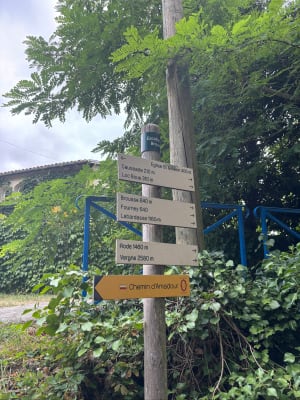 D'un château à l'autre, Bouliac, ses forêts et coteaux - Bouliac - 7