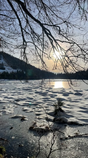 Balade avec vue - La Bresse - 50