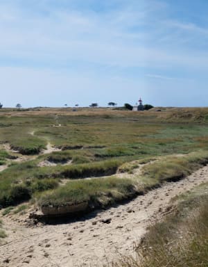 La Pointe d'Agon - Agon-Coutainville - 16