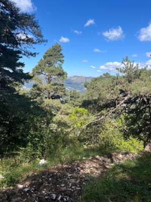Mont Bauroux depuis le Pas de la Clue - frederic - 11