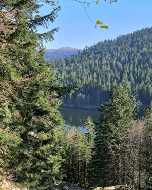 La Roche des corbeaux - La Bresse - 10