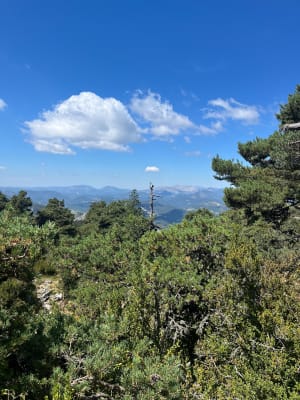 Mont Bauroux depuis le Pas de la Clue - frederic - 12