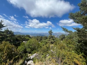 Mont Bauroux depuis le Pas de la Clue - frederic - 14