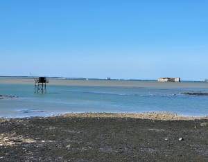 Pointe de Fouras et le Bois Vert - Fouras - 11