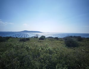 Balade à Loupian - Loupian - 13