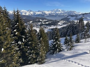 Col de la Ramaz vanuit Praz-de-Lys - Praz-de-Lys - 14