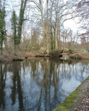 De Misérieux à Ars via le bois de Cibeins - Misérieux - 10