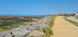 A Brem à la plage de la Parée - Bretignolles-sur-Mer - 2