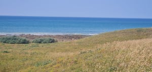 A Brem à la plage de la Parée - Bretignolles-sur-Mer - 4