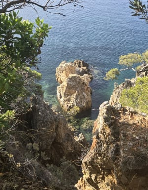 Entre terre et mer, du côté de Bregancon - Bormes-les-Mimosas - 22