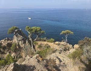 Entre terre et mer, du côté de Bregancon - Bormes-les-Mimosas - 23