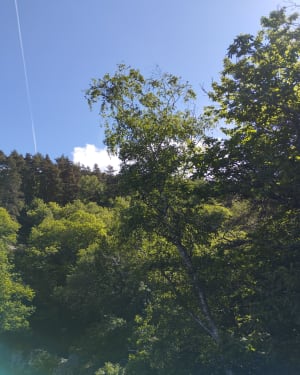 Balade en sandwich entre Truyère et Montézic - Saint-Symphorien-de-Thénières - 9