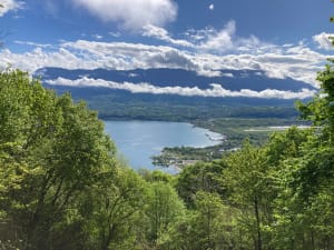 Un p'tit air d'ailleurs et vue extravagante sur le lac du Bourget - Le Bourget-du-Lac - 9