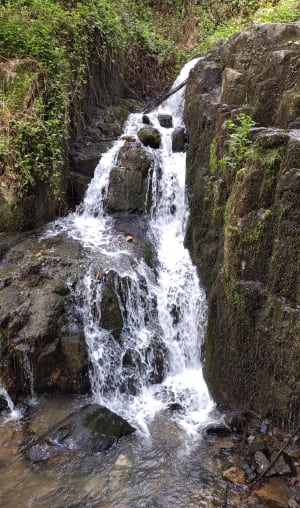Balade à Mortain - Mortain-Bocage - 33