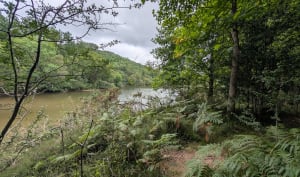 Promenade au sud d'Urrugne avec vue sur lac Xoldokogaina - Urrugne - 22
