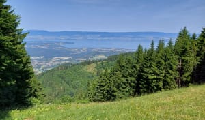Balade du Mont Forchat depuis Très le Mont - Lullin - 15