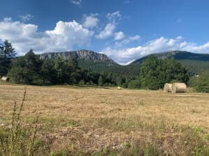 Forêt d’Estéron et balade VTT tranquille dans les Collettes - Saint-Auban - 2