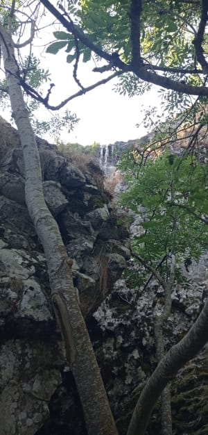 Autour de la cascade du Décor - Nasbinals - 10