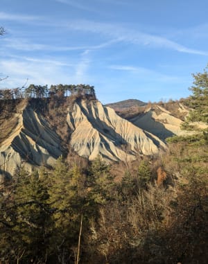 Boucle des belvédères du Ravin de Corboeuf - Rosières - 17