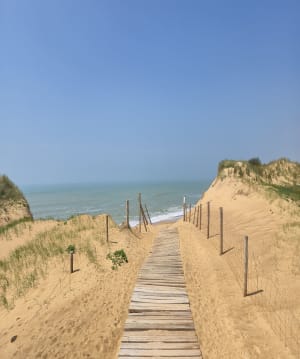 Entre forêt, mer et marais à Olonne-sur-Mer - Les Sables-d'Olonne - 15