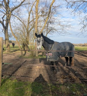 Balade autour de l’île de Loisirs de Vaires-Torcy - Elisa - 5
