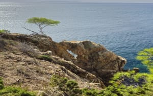 Entre terre et mer, du côté de Bregancon - Bormes-les-Mimosas - 38