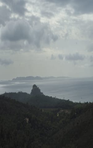 Entre terre et mer, du côté de Bregancon - Bormes-les-Mimosas - 39