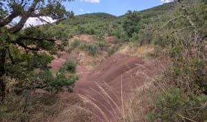 Dunes et Sentier de Maraval - Labarthe-Bleys - 7