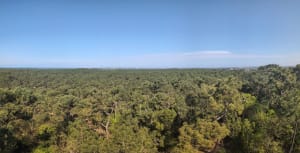 Belle balade entre bois et marée à La Barre-de-Monts - La Barre-de-Monts - 13