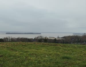Balade autour de Blaye, entre vignes et châteaux - Valérie - 9