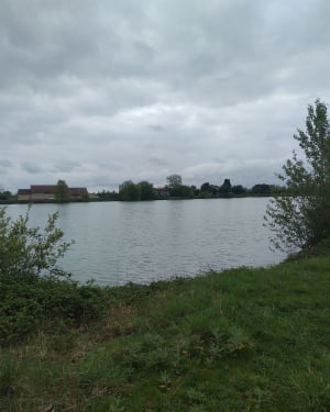 Kleine lus van de Bidot-meren - Villeneuve Tolosane - 4