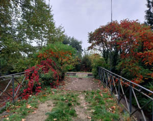 Boucle au départ de Pontailler sur Saône - Pontailler-sur-Saône - 10