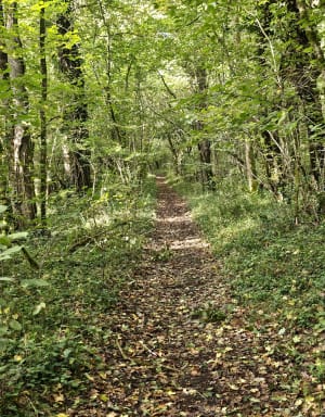 Balade sentiers boisés, falaises et Lac des Jouffroux - Voulgézac - 6